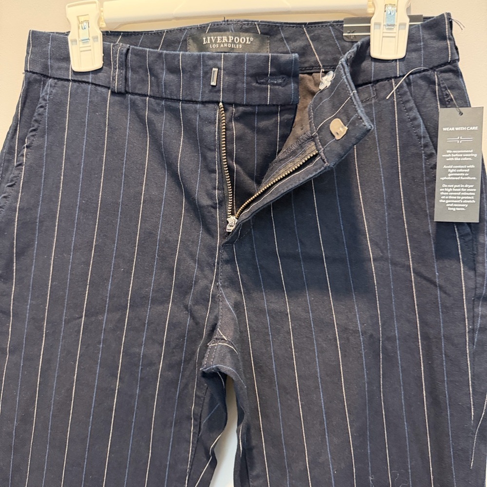 Liverpool Pinstripe Dress Pants in blue | Sz 4 - Picture 3 of 8